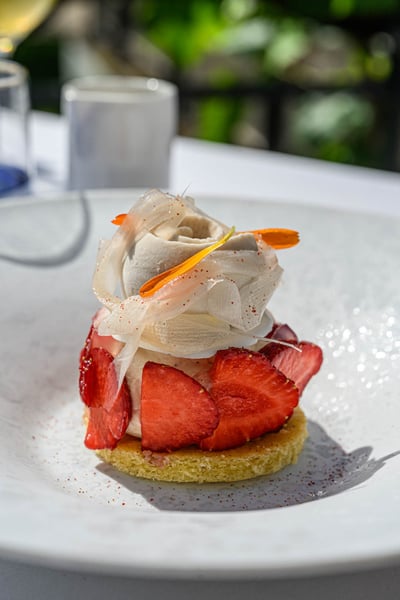 Fraisier gourmand dessert patisserie traiteur oiseaubleu oeildalex
