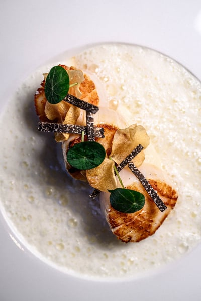 Saintjacques palaisgallien truffe oeildalex