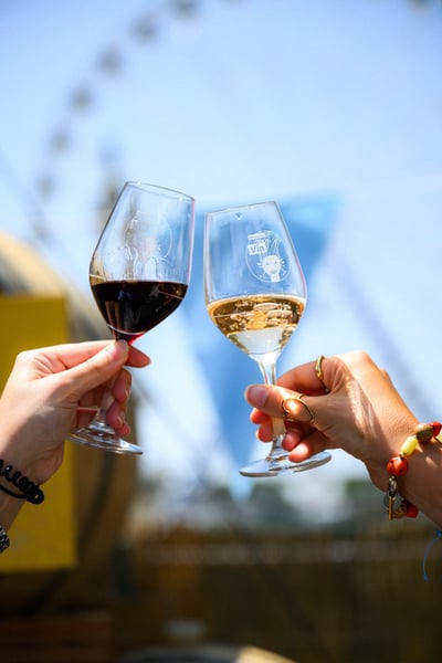 Trinquer verre feteduvin bordeaux festival partage vin oeildalex