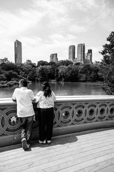 Centralpark newyork buildings oeildalex