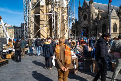 Puces saintmichel bordeaux oeildalex